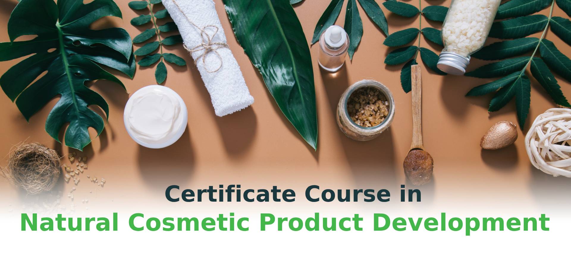 Certificate Course in Natural Cosmetic Product Development